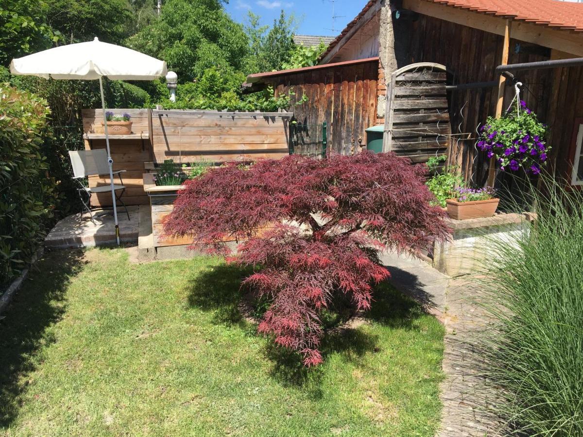 Ferienwohnung Dashaus Rheinfelden  Bagian luar foto